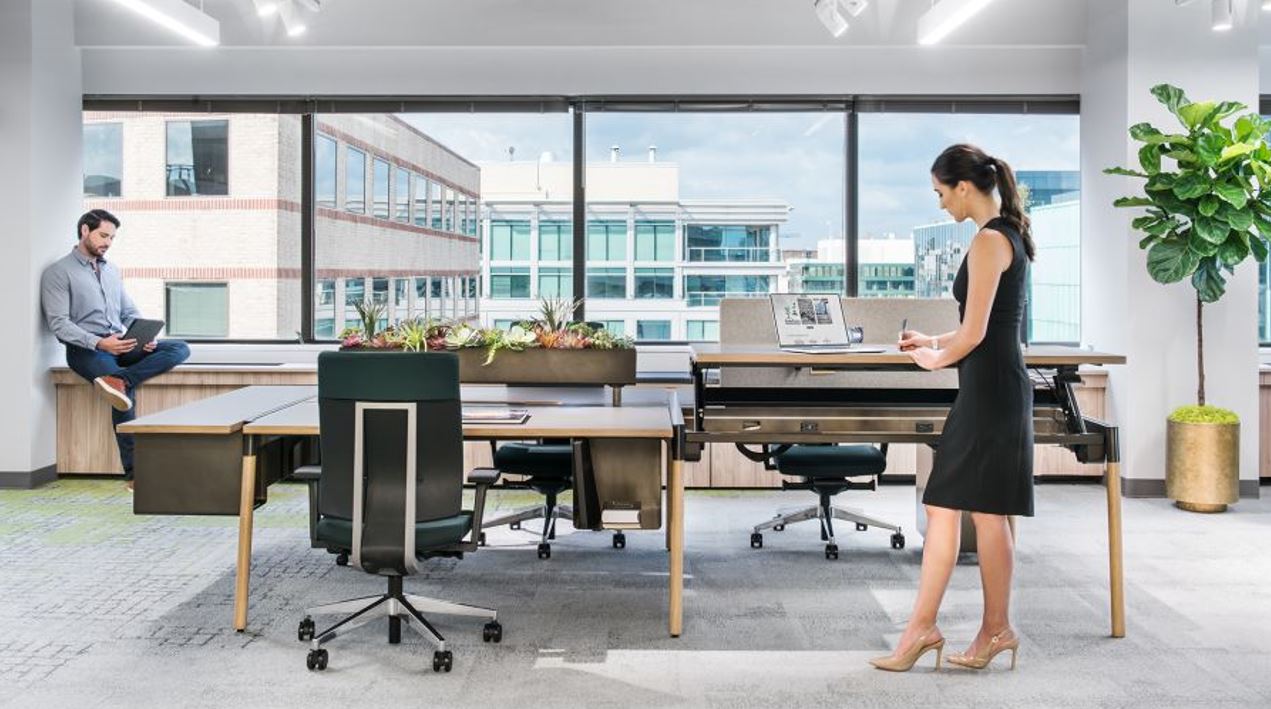 Interior Design Trends For Your Office In 2019