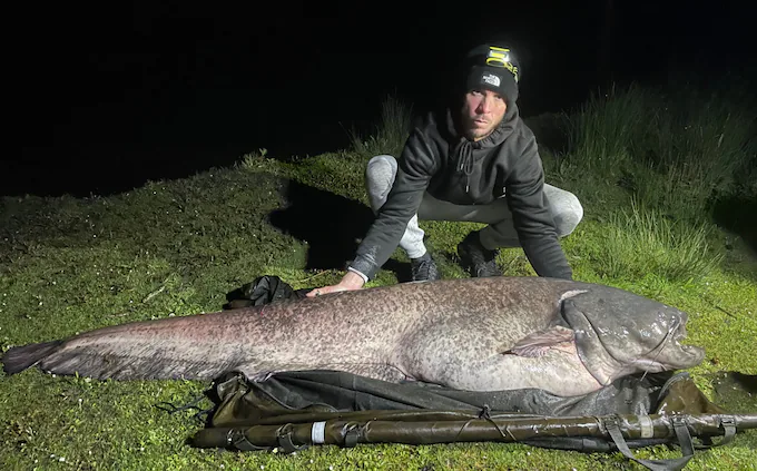 Amateur angla landz UK's 'biggest fish'
